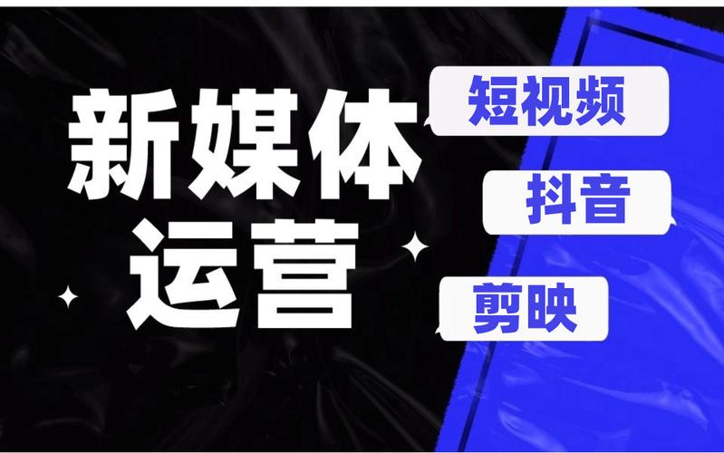 涨粉自助平台,新媒体时代下的流量增长新引擎与行业生态重构