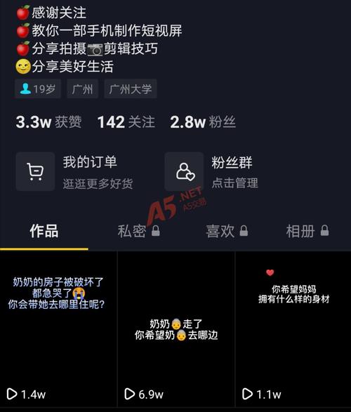 抖音点赞服务新选择,揭秘全网最实惠点赞网站