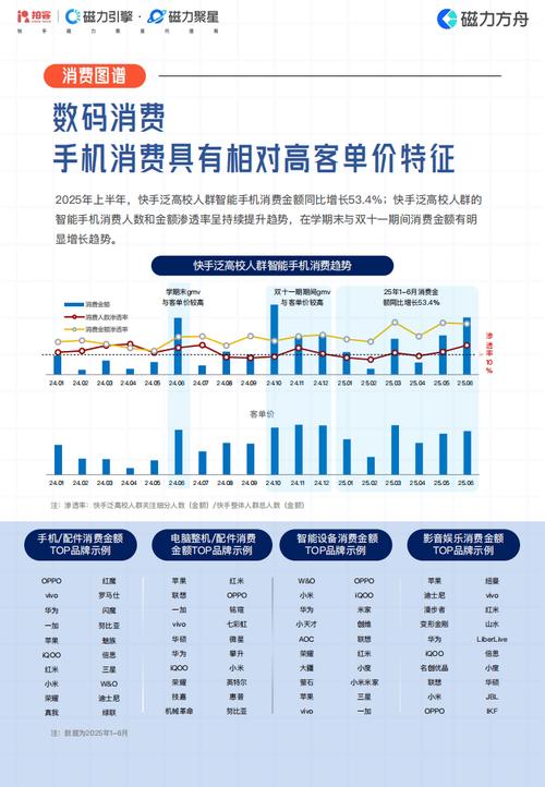 快手点赞任务网，数字营销生态下的流量变现新路径与行业规范探索