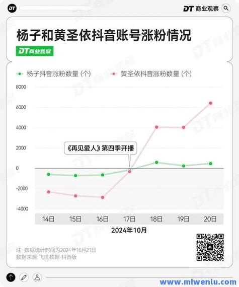 抖音平台自助下单-抖音涨粉丝平台