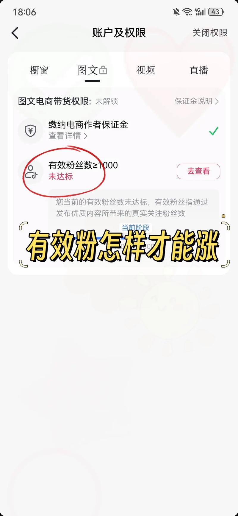 怎么购买粉丝1000以上-免费粉丝在线自助平台