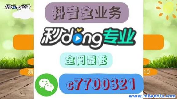 抖音粉丝网-抖音点赞自助网站低价