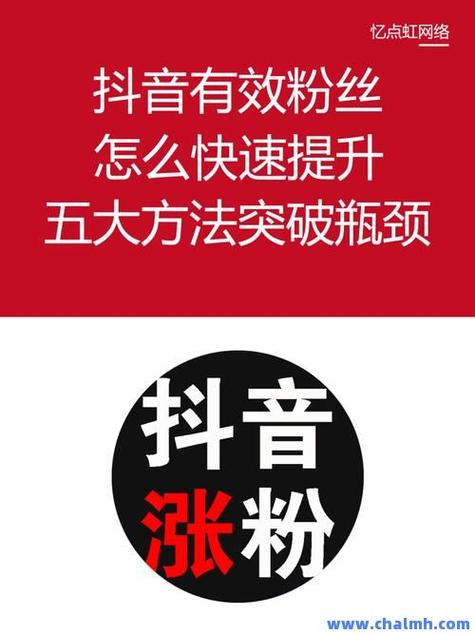 抖音买赞的平台-抖音粉丝网址